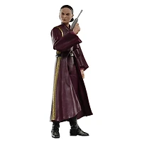 Hasbro Star Wars: The Black Series Star Wars: The Phantom Menace Padme Amidala 6-in Action Figure