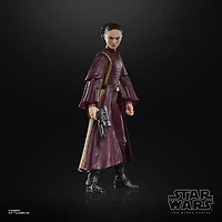 Hasbro Star Wars: The Black Series Star Wars: The Phantom Menace Padme Amidala 6-in Action Figure