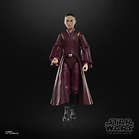 Hasbro Star Wars: The Black Series Star Wars: The Phantom Menace Padme Amidala 6-in Action Figure