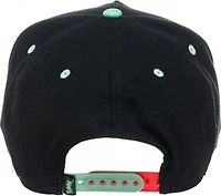 Pokemon Bulbasaur Embroidered Snapback Hat