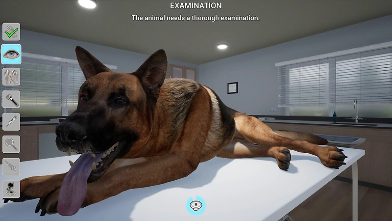 My Life: Pet Vet - PlayStation 5