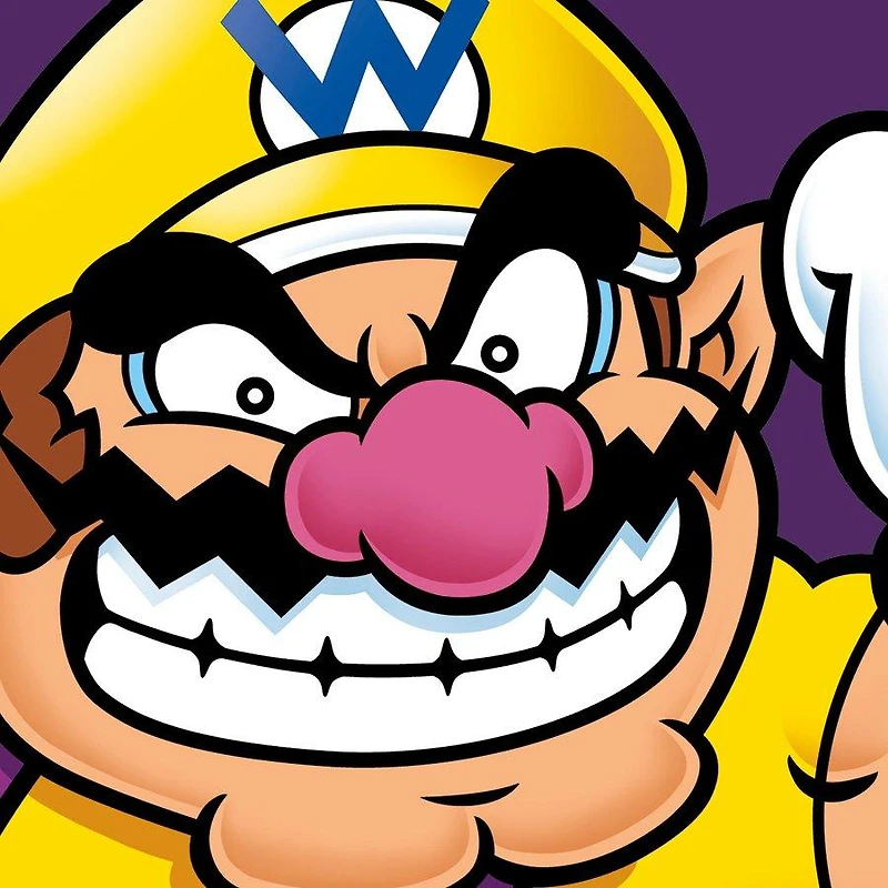 Super Mario Bowser and Wario 2-Pack 6x6 Wall Canvas