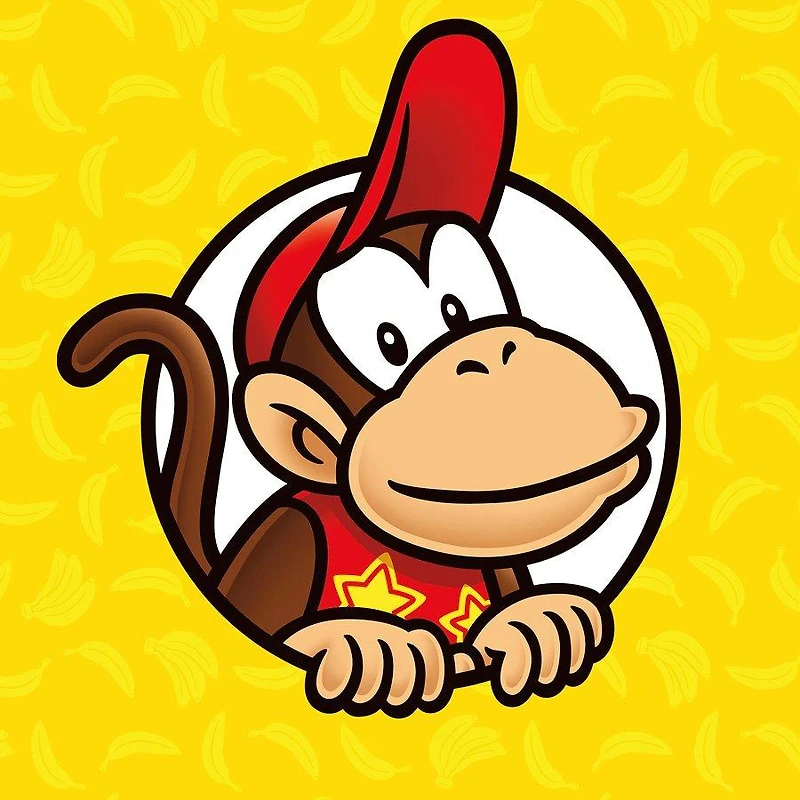 Donkey Kong and Diddy Kong Circle 2 Pack Canvas