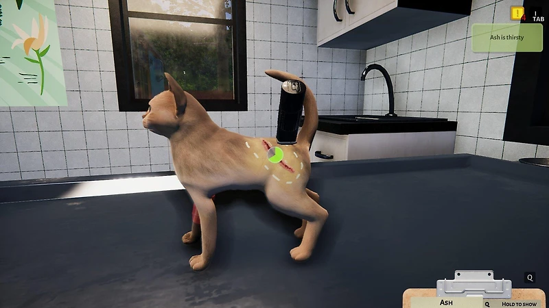 Animal Shelter - Puppies and Kittens DLC - PC Steam