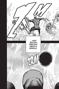 My Hero Academia Manga Volume 38