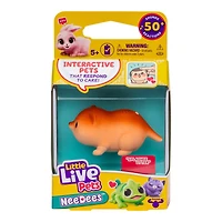 Little Live Pets NeeDees Single Pack (Styles May Vary)