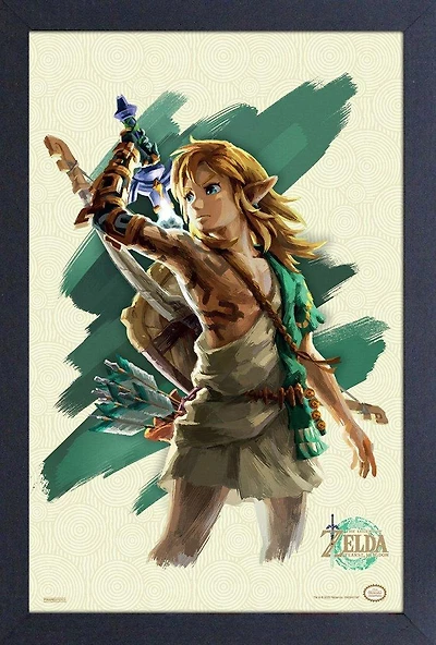 The Legend of Zelda Tears of the Kingdom Link 11x17 Wall Art