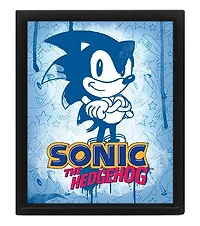 Sonic the Hedgehog- Spray Paint Blue 3D Lenticular