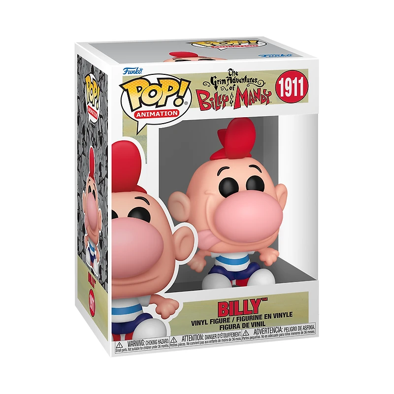 Funko POP! Animation: The Grim Adventures of Billy and Mandy Billy 3.95-in Vinyl Figure