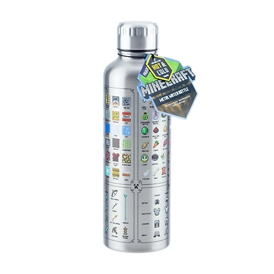 Minecraft Metal 17oz Water Bottle