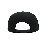 Teenage Mutant Ninja Turtles Lenticular Brim Snapback Hat GameStop Exclusive