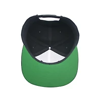 Teenage Mutant Ninja Turtles Lenticular Brim Snapback Hat GameStop Exclusive