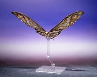 Bandai Godzilla x Kong: The New Empire Suko and Mothra S.H.MonsterArts 2.7-in Figure