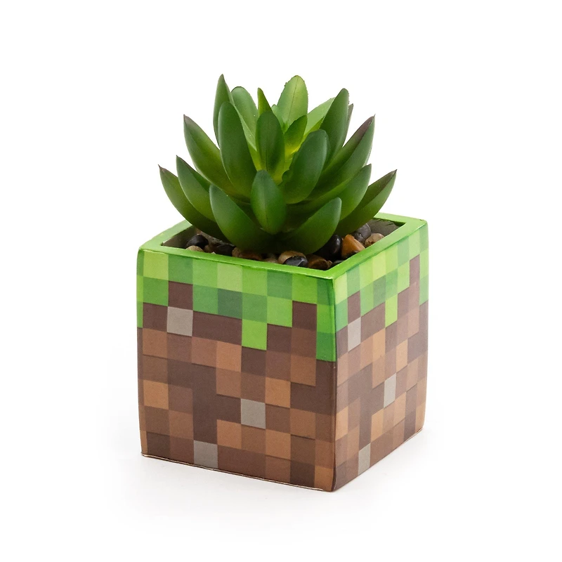 CultureFly Minecraft Creeper Collector's Box