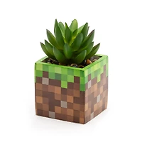 CultureFly Minecraft Creeper Collector's Box