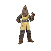 Hasbro Star Wars The Black Series Jedi Master Kelnacca (Star Wars: The Acolyte) Deluxe Collectible 6-In Action Figure