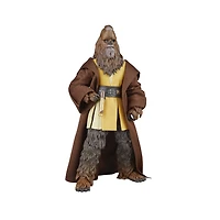 Hasbro Star Wars The Black Series Jedi Master Kelnacca (Star Wars: The Acolyte) Deluxe Collectible 6-In Action Figure