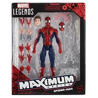 Hasbro Marvel Legends: Spider-Man Maximum Series 6-in Action Figure