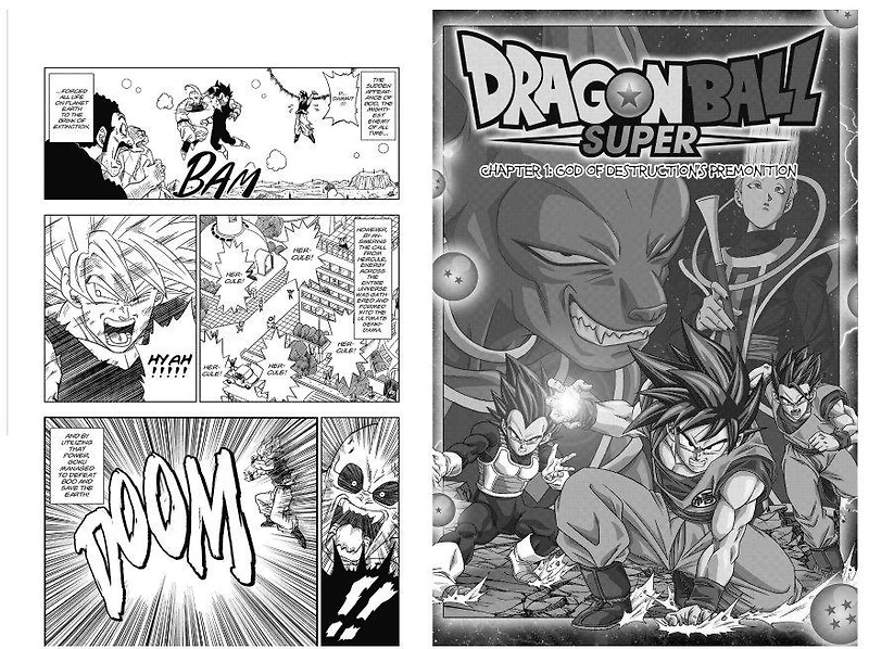 Dragon Ball Super Manga Volume 01