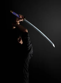 Tamashii Nations One Piece Roronoa Zoro Three Sword Style set (Wado Ichimonji, Sandai Kitetsu
