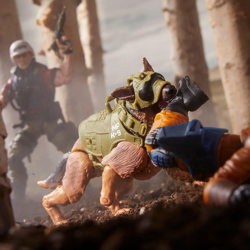 Hasbro G.I. Joe Classified Series Christopher Law Lavigne and Order 6-in Action Figure