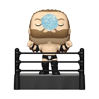 Funko POP! Premium: WWE Triple H 4.7-in Vinyl Figure