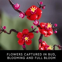 LEGO Icons Plum Blossom Flower Decor Display Set for Office Decor 10369