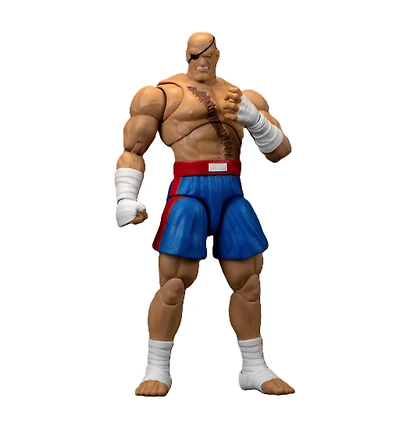 Ultra Street Fighter II Sagat Deluxe 6-In Action Figure