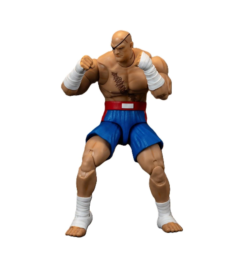 Ultra Street Fighter II Sagat Deluxe 6-In Action Figure