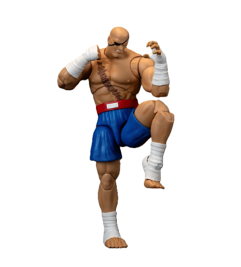Ultra Street Fighter II Sagat Deluxe 6-In Action Figure