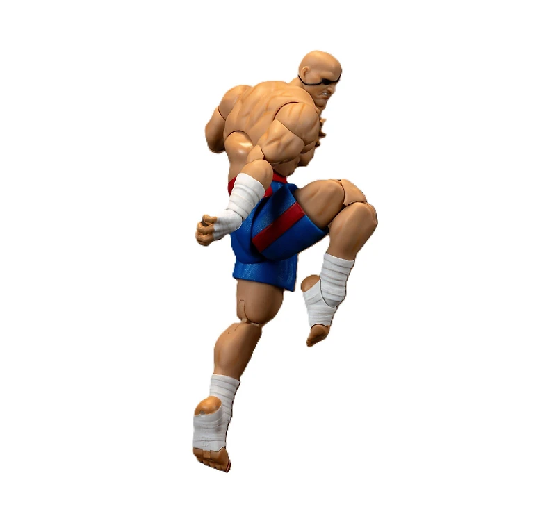 Ultra Street Fighter II Sagat Deluxe 6-In Action Figure