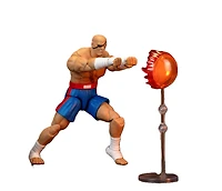Ultra Street Fighter II Sagat Deluxe 6-In Action Figure
