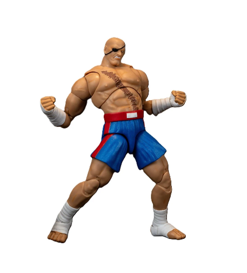 Ultra Street Fighter II Sagat Deluxe 6-In Action Figure
