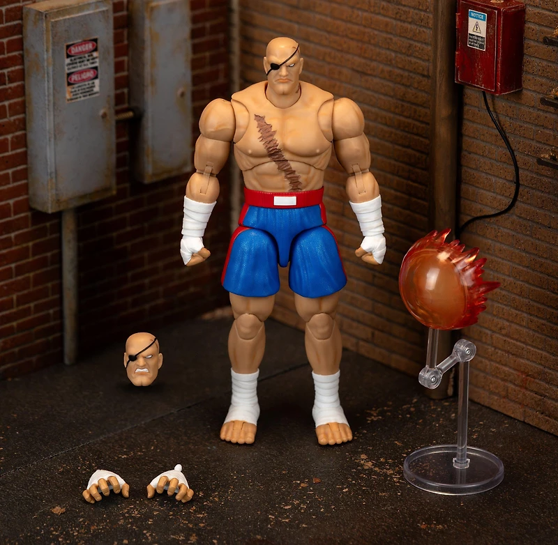 Ultra Street Fighter II Sagat Deluxe 6-In Action Figure