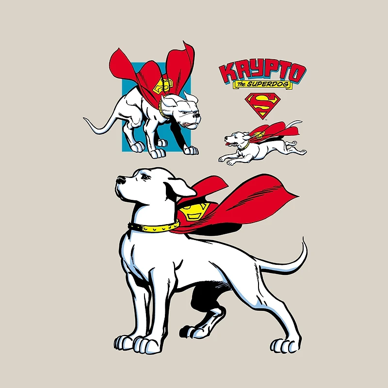 DC Comics Superman Krypto Unisex Short Sleeve Graphic T-Shirt GameStop Exclusive