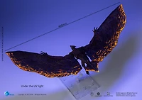 HIYA Godzilla King of Monsters Exquisite Basic Rodan (Flameborn) 15.75-in PX Action Figure