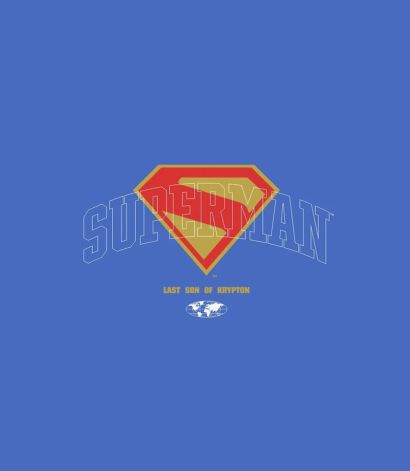 Superman Logo and Silhouette Unisex Graphic T-Shirt GameStop Exclusive