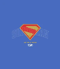 Superman Logo and Silhouette Unisex Graphic T-Shirt GameStop Exclusive
