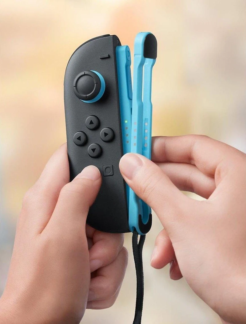 Nintendo Switch 2 Joy-Con 2 Strap (Styles May Vary