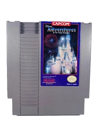 Adventures in the Magic Kingdom - Nintendo