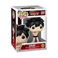 Funko POP! Animation: Fairy Tail: 100 Years Quest Gray (or Chase) 4.4-in Vinyl Figure