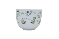 Pokemon Pikachu Lifestyle Fruit Script Toss Ceramic Ramen 20oz Bowl with Chopsticks and Spoon