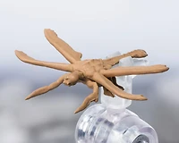 Bandai S.H.MonsterArts Tamashii Nations Megaguirus Evolution Godzilla 8.3-in Figure Set