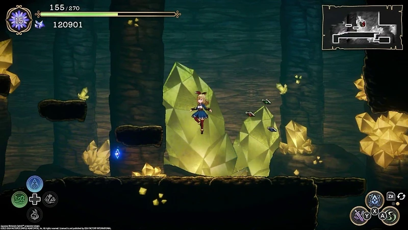 Ariana and the Elder Codex