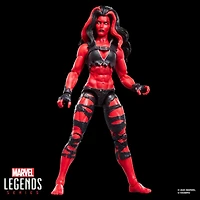 Hasbro Marvel Legends Series The Hulk Red Hulk 6-in Action Figure