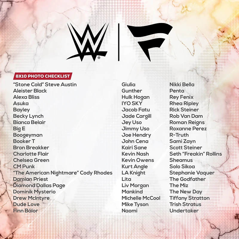 WWE Under Wraps Autographed Mystery Photo GameStop Exclusive (Styles May Vary)