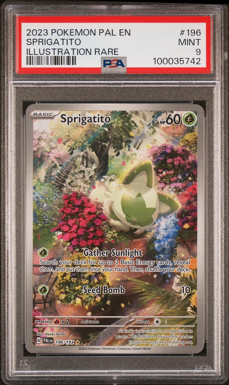 2023 Pokemon Pal En-paldea Evolved 196 Sprigatito Illustration Rare PSA