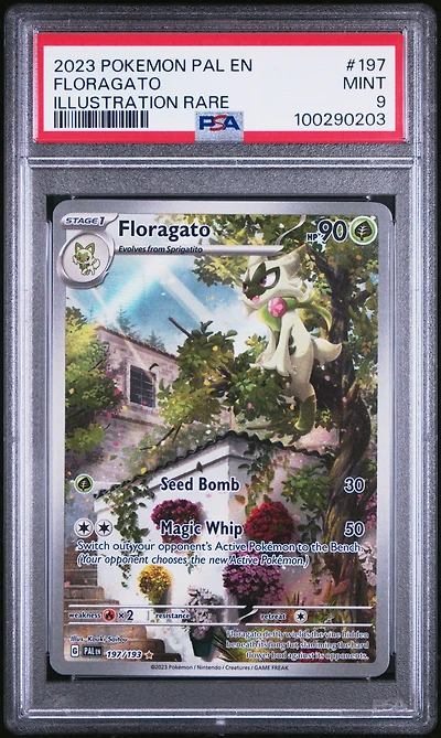2023 Pokemon Pal En-paldea Evolved 197 Floragato Illustration Rare PSA