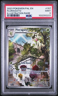 2023 Pokemon Pal En-paldea Evolved 197 Floragato Illustration Rare PSA