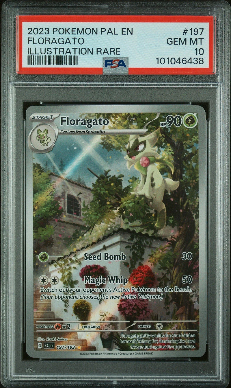 2023 Pokemon Pal En-paldea Evolved 197 Floragato Illustration Rare PSA